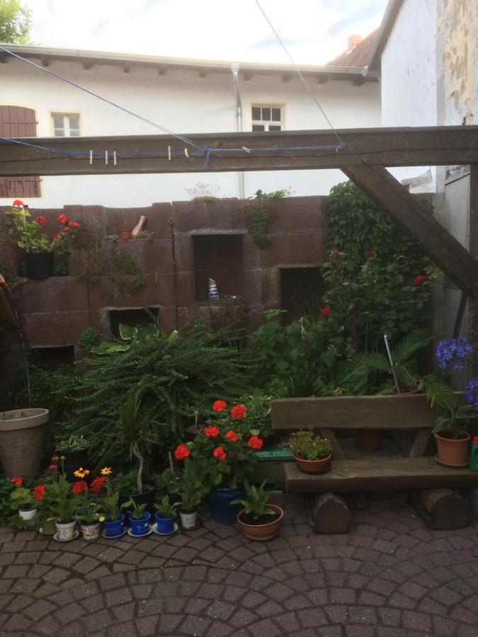 Otterbau Apartment Belgern-Schildau ภายนอก รูปภาพ