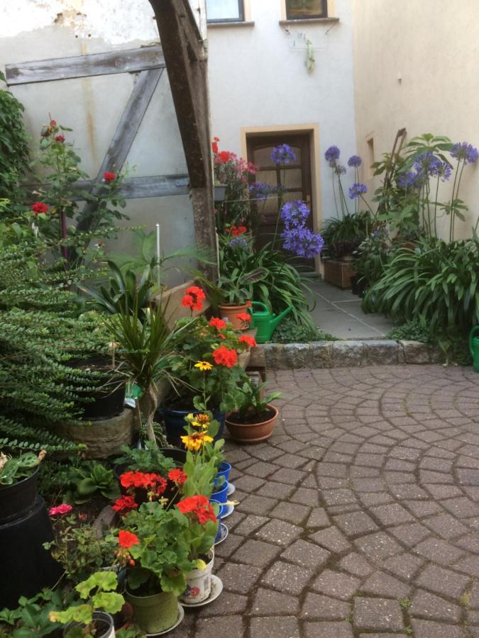 Otterbau Apartment Belgern-Schildau ภายนอก รูปภาพ