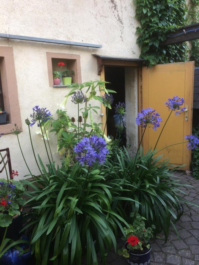 Otterbau Apartment Belgern-Schildau ภายนอก รูปภาพ