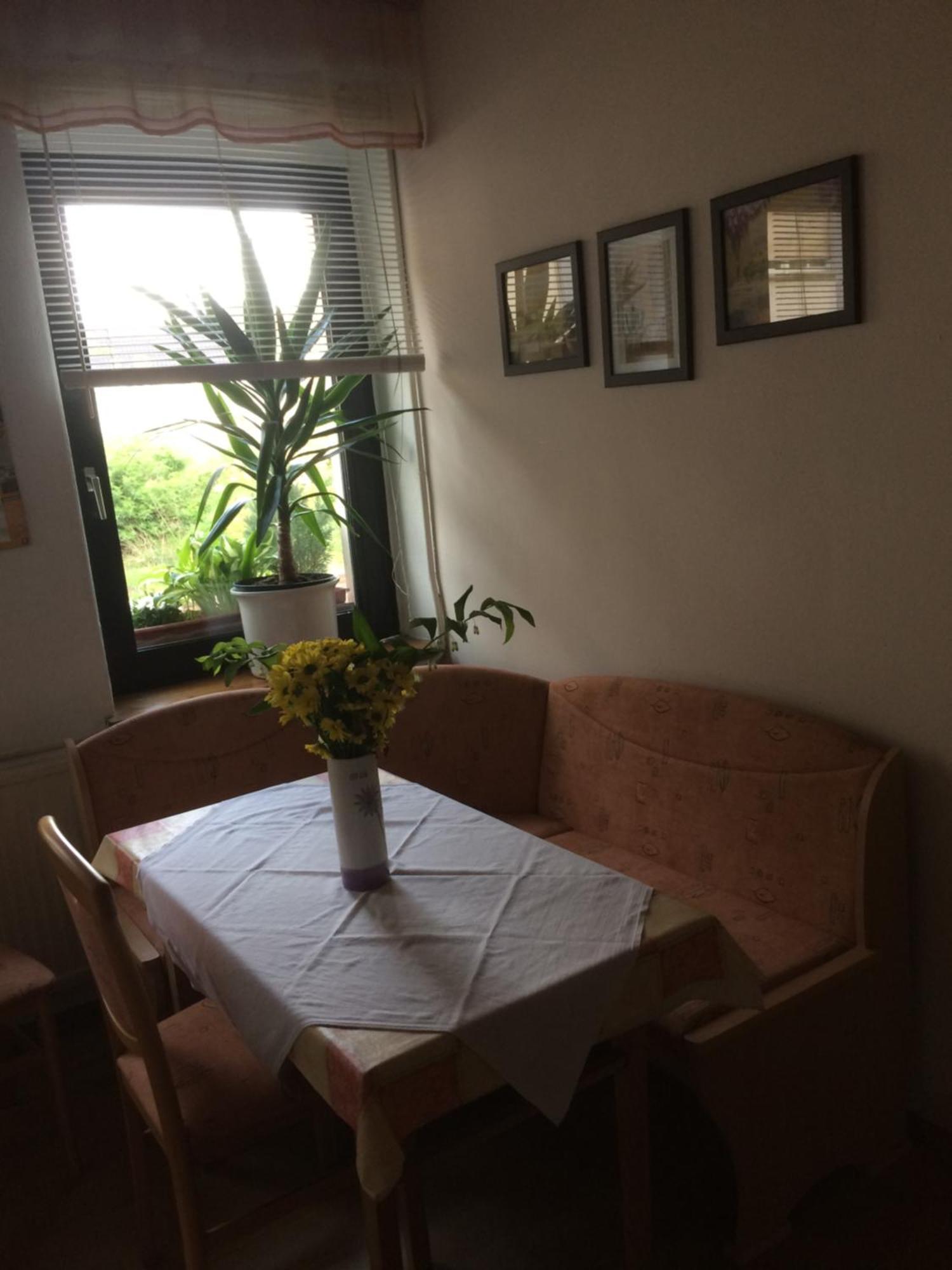 Otterbau Apartment Belgern-Schildau ภายนอก รูปภาพ