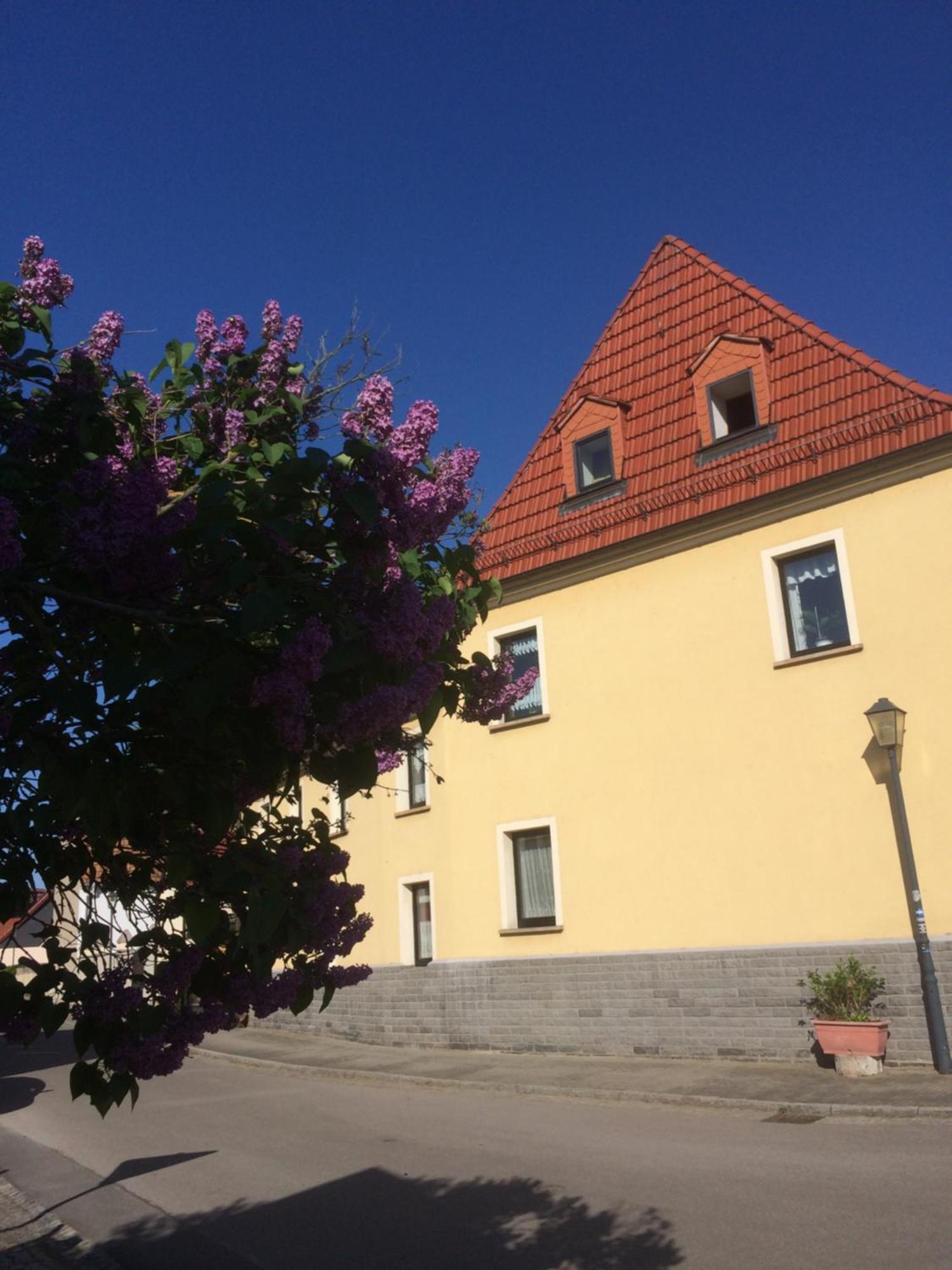 Otterbau Apartment Belgern-Schildau ภายนอก รูปภาพ